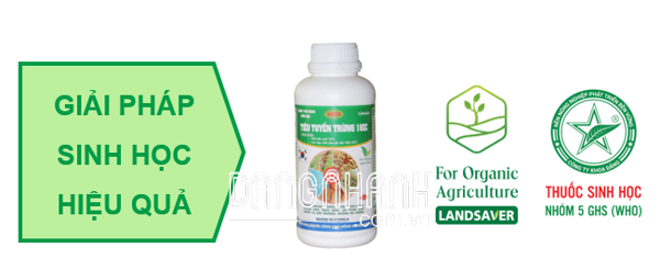 TIÊU TUYẾN TRÙNG 18EC