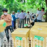 Túi bao trái Bưởi Ánh Dương Thông Dụng 30x30,2cm