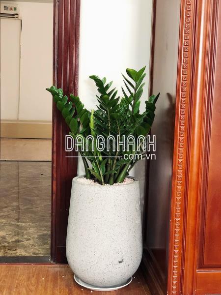 Chậu Đá Mài Giọt Nước 30x50cm