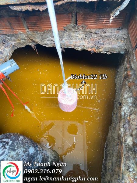 Vi Sinh Xử Lý Dầu Mỡ Hố Ga, Bẫy Mỡ Biobloc22