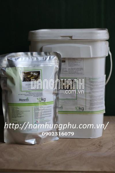 Men Vi Sinh BCP22 Xử Lý Nước Thải Thủy Sản