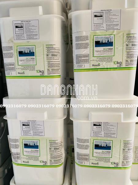 BCP35M men vi sinh xử lý nước thải lọc dầu và hóa dầu