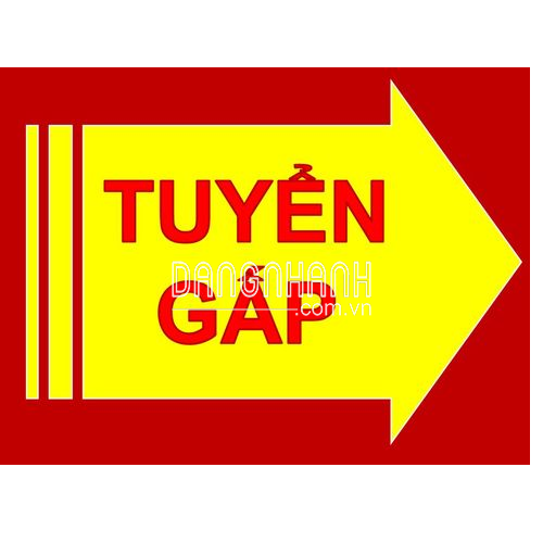 NHÂN VIÊN SALE ENGINEER B2B