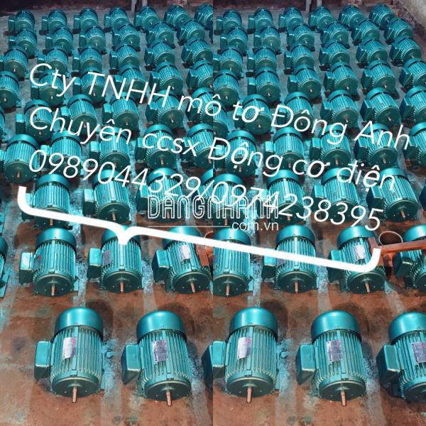 Mô tơ Máy đục