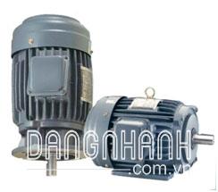 Motor Teco AESU
