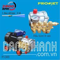 Máy rửa xe Projet P1300