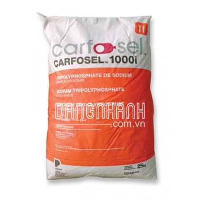 CARFOSEL 1000I