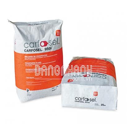 CARFOSEL 950I