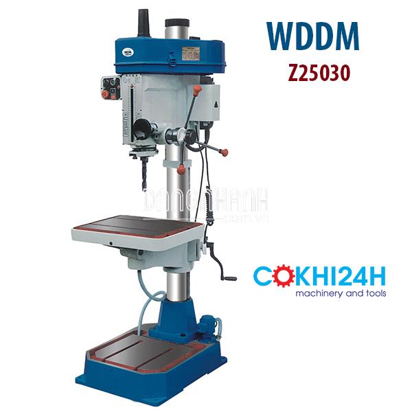 Máy chuyên khoan và ta rô lỗ sâu WDDM Z25032