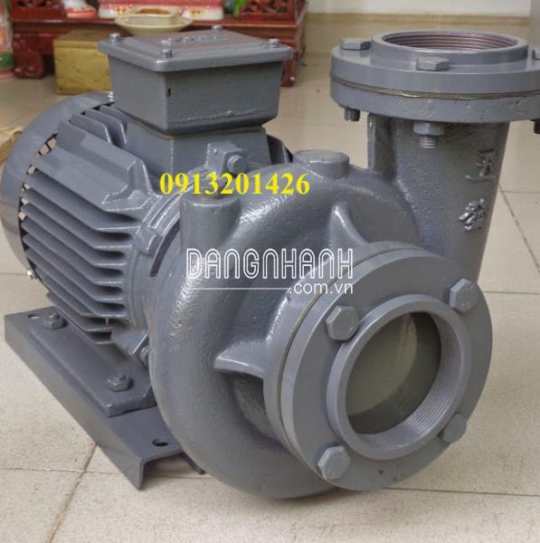 Máy bơm ly tâm dạng xoáy đầu gang Teco HVP3150-119 40