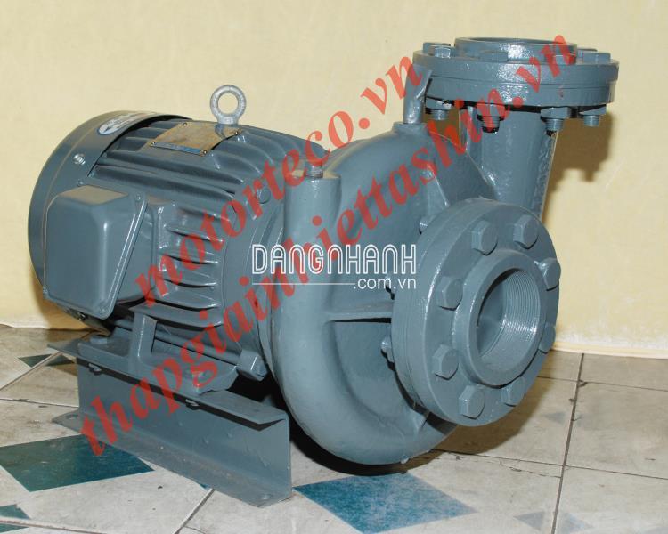 Máy bơm ly tâm dạng xoáy đầu gang Teco HVP3125-115 40