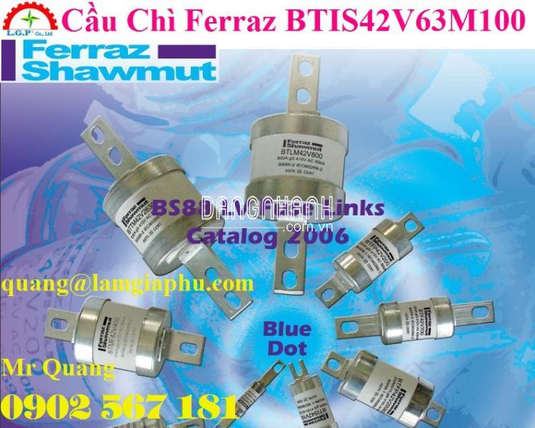 Cầu chì Ferraz BTIS42V63M100