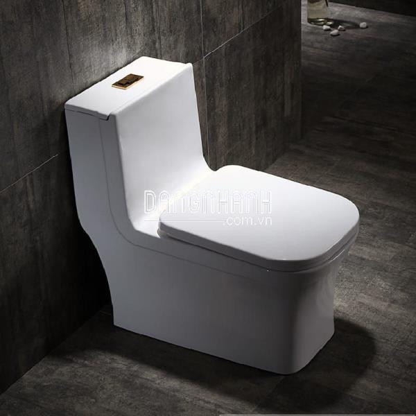 BỆT LIỀN KHỐI RANOX NHẬP KHẨU RN102