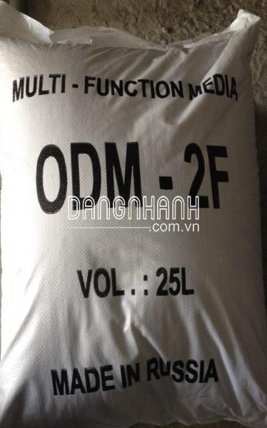 Hạt lọc ODM – 2F