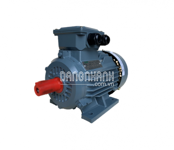 MÔ TƠ SGP CHÂN ĐẾ CÔNG SUẤT TỪ 0.1KW-315KW