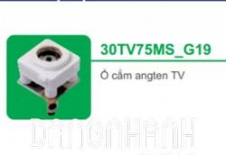 ổ cắm angten TV (30TV75MS_G19)