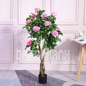 Chậu cây hoa hồng giả màu hồng phấn (chậu như hình)
