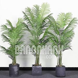 Cây dừa cảnh giả trang trí