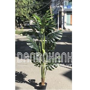 Cây giả trang trí - Cây lá xẻ 1,8m