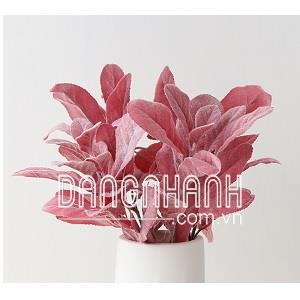 Cành lá lẻ tai thỏ đỏ