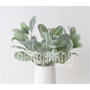 Cành lá lẻ tai thỏ xanh