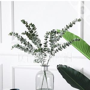 Cành lá kim tiền 3 nhánh
