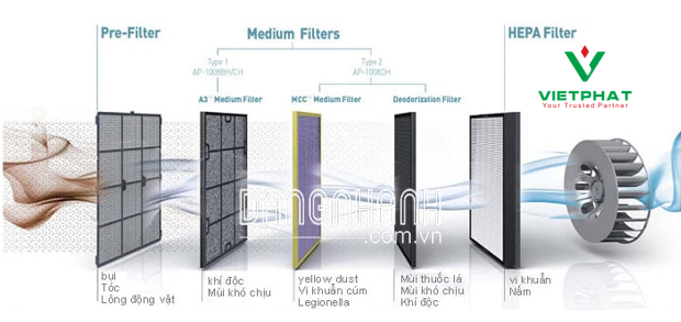 HƯỚNG DẪN CHỌN LỌC CỦA AAF