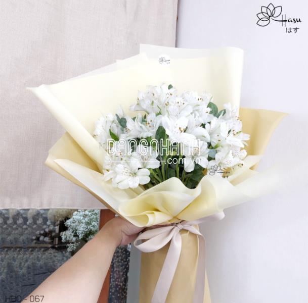 BÓ HOA THỦY TIÊN HBO - 067