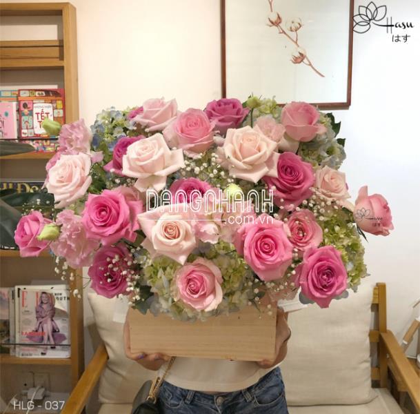 LẴNG HOA HỒNG HLG - 037