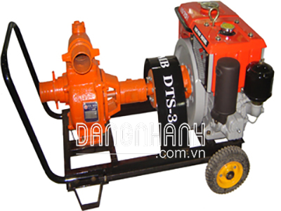 Máy bơm nước DTS3-RV70N