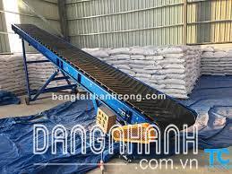 băng tải gạo lên