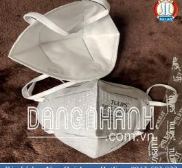 Khẩu trang giấy N95 - 9001VH - Tulips ko van