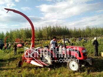Máy cắt và băm ngô 1 hàng