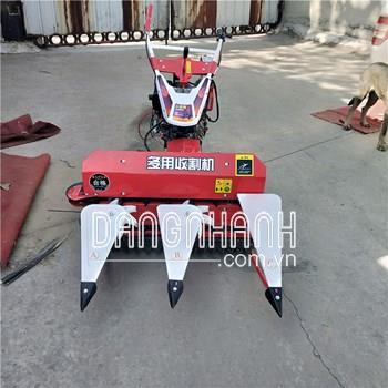 Máy cắt cỏ ngô cỏ voi ngả hàng kamast