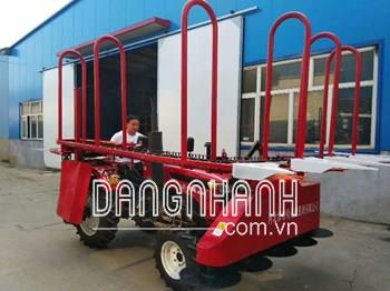 Máy cắt ngô rải hàng