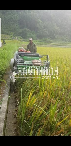 Máy gặt lúa mini liên hoàn Shineray 4LZ-0.9LB