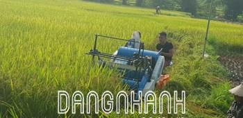 Máy gặt lúa mini liên hoàn KAMAST 4LZ-0.6 AB