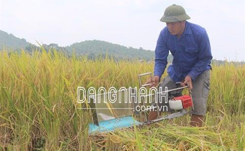 MÁY GẶT LÚA CẦM TAY GIA ĐÌNH