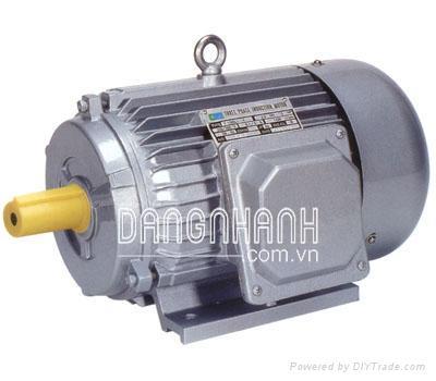 Động cơ điện Hitachi (1/8hp-40HP)