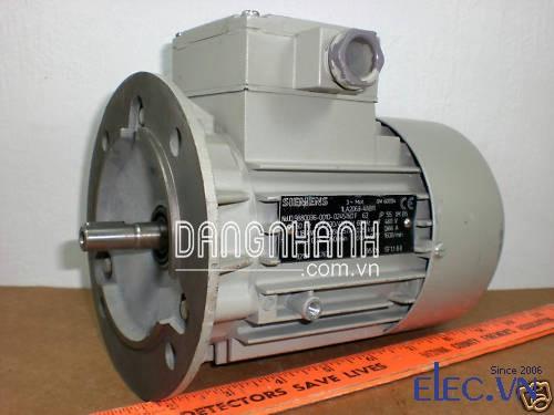 Motor Siemens mặt bích