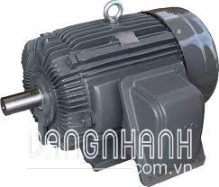 Động cơ điện Teco kiểu chân đế 0.75-45kw /1000 RPM