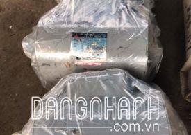 Động cơ điện 3 pha Nhật Bản