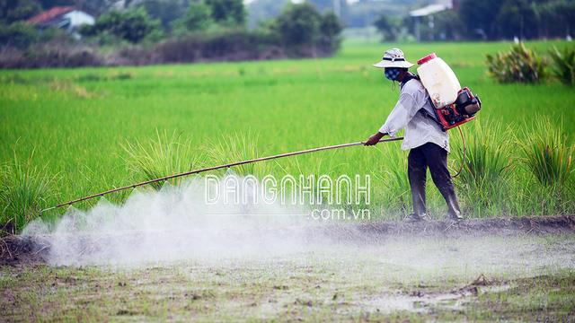 Vi sinh xử lý nước thải cho nhà máy sản xuất thuốc trừ sâu BCP10 (Bionetix)