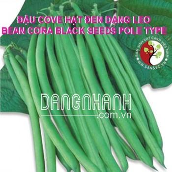 Hạt Giống Đậu Cove Hạt Đen Dạng Leo