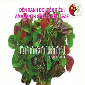 Hạt Giống Rau Dền Tiều