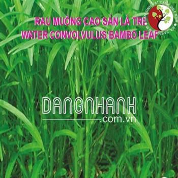 Hạt Giống Rau Muống Cao Sản Lá Tre