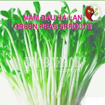 Hạt Giống Mầm Đậu Hà Lan
