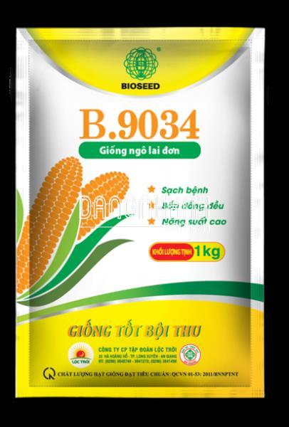 GIỐNG BẮP LAI B.9034