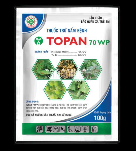 THUỐC TRỪ BỆNH TOPAN 70WP