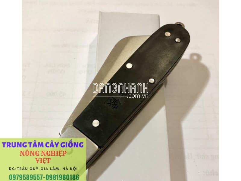 DAO CHIẾT GHÉP CÀNH